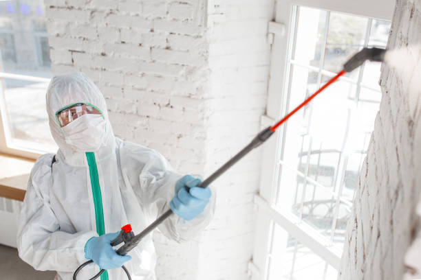 Environmental Consulting for Mold Prevention in Ashland, KY