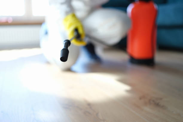 Best Environmental Consulting for Mold Prevention  in Ashland, KY